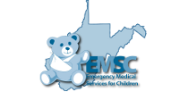 Picture of a teddy bear in a sling representing the EMS for Children program.