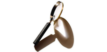 Picture of a Magnifying Glass representing the investigation section